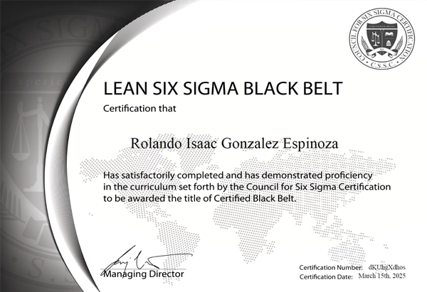 Lean Six Sigma Black Belt