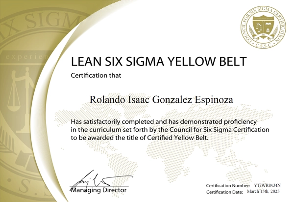 Lean Six Sigma Yellow Belt
