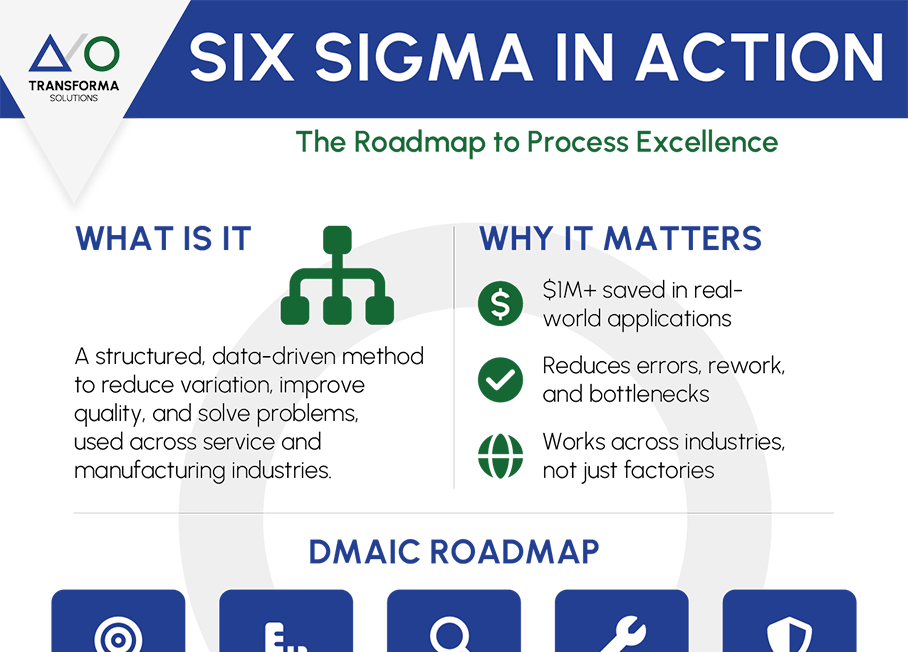 SixSigma In Action